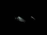 fiat_barchetta17